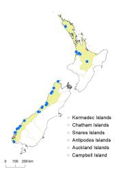 Hymenophyllum pluviatile distribution map based on databased records at AK, CHR, OTA and WELT. 
 Image: K. Boardman © Landcare Research 2016 CC BY 3.0 NZ